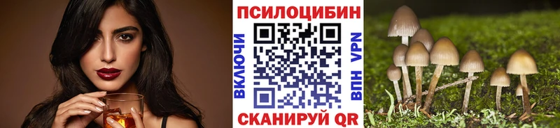 Галлюциногенные грибы ЛСД Купить где Заозёрный